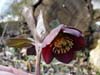 mlpourprefonce05