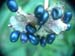 veitchii_kelways12